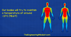 Thermal Comfort in Buildings - The Engineering Mindset
